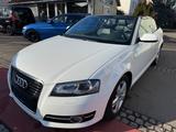 Audi A3 Cabriolet S line Sportpaket / plus - Audi A3 aus 2010: Line
