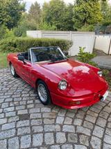 Alfa Romeo Spider 1.6 H Kennzeichnen - gebrauchte Alfa Romeo Spider aus dem Jahr 1989