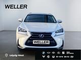 Lexus NX 300h Business Edition *LED*RCam*SHZ*Navi*PDC* - Lexus NX-Serie in Leipzig