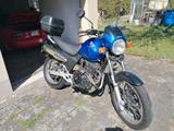 Honda SLR 650 Vigor - HONDA VIGOR 650