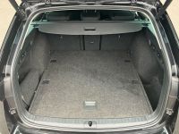 Skoda Octavia - Vorschau Bild 15