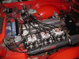 Triumph TR6 PI +OVERDRIVE +Tüv Neu - Triumph: Cabrio