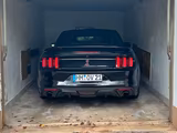Ford Mustang 2,3 EcoBoost SHELBY KAM NAVI SITZBE - Ford Mustang: Ecoboost
