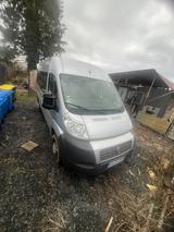 Fiat Ducato 2,3 Behindertengerecht mit Hebebühne - gebrauchte Fiat Ducato aus dem Jahr 2009