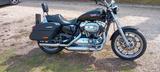 Harley-Davidson Sportster XL 1200 T "Low  Rider" - Harley-Davidson Sportster XL 1200 L Low