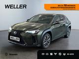 Lexus UX 300h F SPORT Design *LED*ACC*CAM*SHZ*SmartKey - Lexus UX Jahreswagen