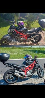 Suzuki Gladius 650 SFV  - SUZUKI GLADIUS 650