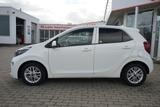 Kia Picanto 1.2 Dream Team Navi Android Apple Kamera - Kia Picanto in Erfurt