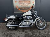 Harley-Davidson XL883C Sportster 883-1200 Custom mit Penzl - Offers matching your search criteria