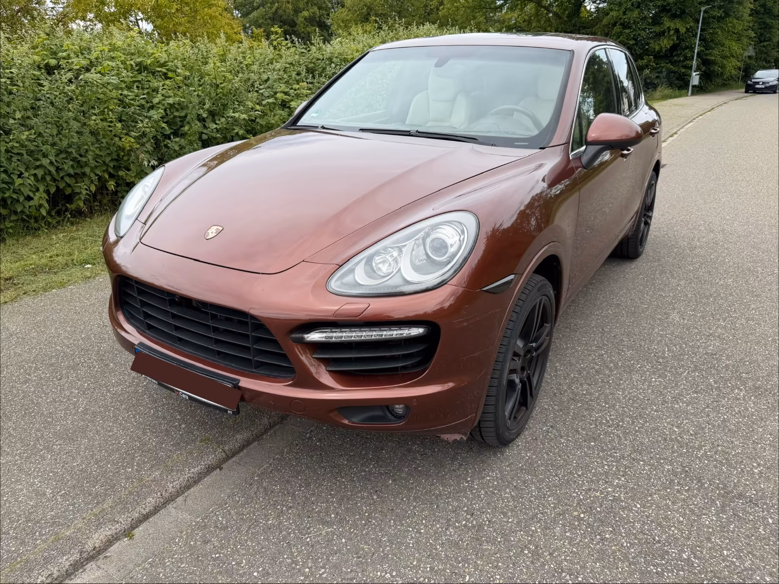 Porsche Cayenne S E-Hybrid