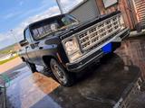 Chevrolet C20 1979 - Chevrolet aus 1979