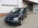 Fiat Panda 1.1 8V Active - Fiat Panda: Blau