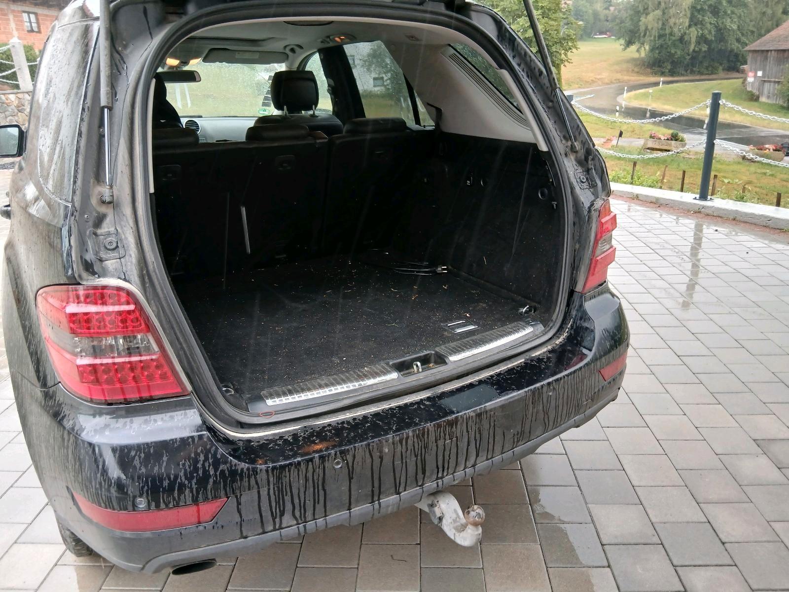 Mercedes-Benz ML350 2009 — rear view
