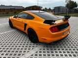 Ford Mustang 5.0 Ti-VCT V8 GT SHELBY Optik - Ford Mustang in Mannheim