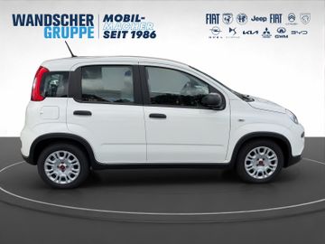 Fiat Panda Base Mild Hybrid 1,0 Klima+ZV+Radio