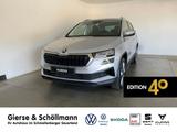 Skoda Karoq Selection 1.5 TSI DSG AHK+KAMERA - Skoda Karoq Tageszulassungen