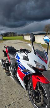 Honda CBR500 - HONDA CBR 500
