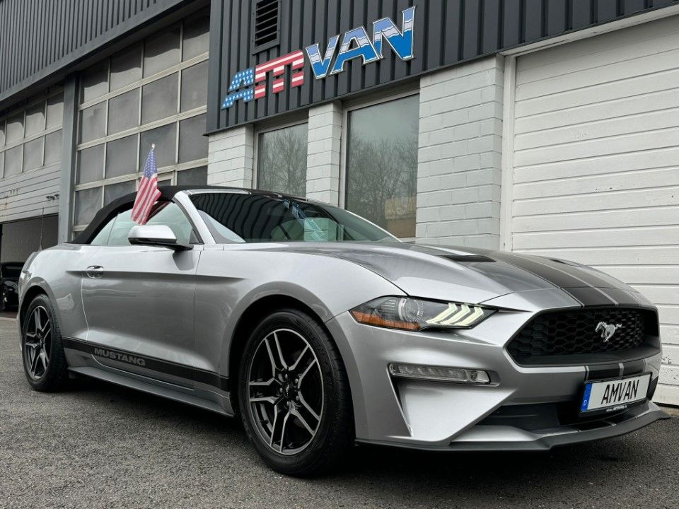 Fahrzeugabbildung Ford Mustang Cabrio 2.3 Premium Paket Leder 10-Gang