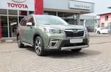 Subaru Forester 4x4 *Panoramadach*Sitzheizung - Subaru Forester mit Benzin-Antrieb: Leder, Navigationssystem