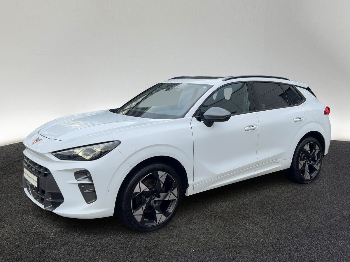 Cupra Terramar - Bild 2