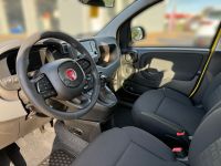 Fiat Panda 1.0 GSE Hybrid  PARKSENSOREN KLIMA GRA DAB - Image