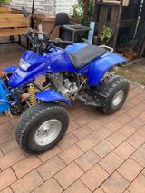 Kymco Stinger Barossa 150 - Offers matching your search criteria