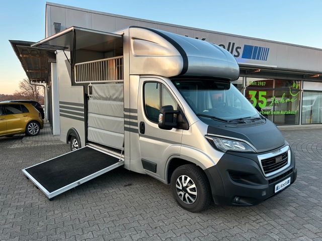 Peugeot Boxer MSG Pferdetransporter 3,5t Stablehopper