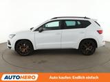 Cupra Ateca 2.0 TSI 4Drive Aut.*NAVI*LED*ACC*360* - Cupra Gebrauchtwagen in Frankfurt