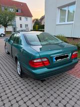 Mercedes-Benz CLK 200 ELEGANCE 1. Hand, KEIN ROST TÜV 6/28 - Mercedes-Benz CLK-Klasse: Elegance