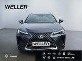 Lexus UX 300e Luxury Line *LED*360°*M Levinson*HUD*ACC - Lexus: L