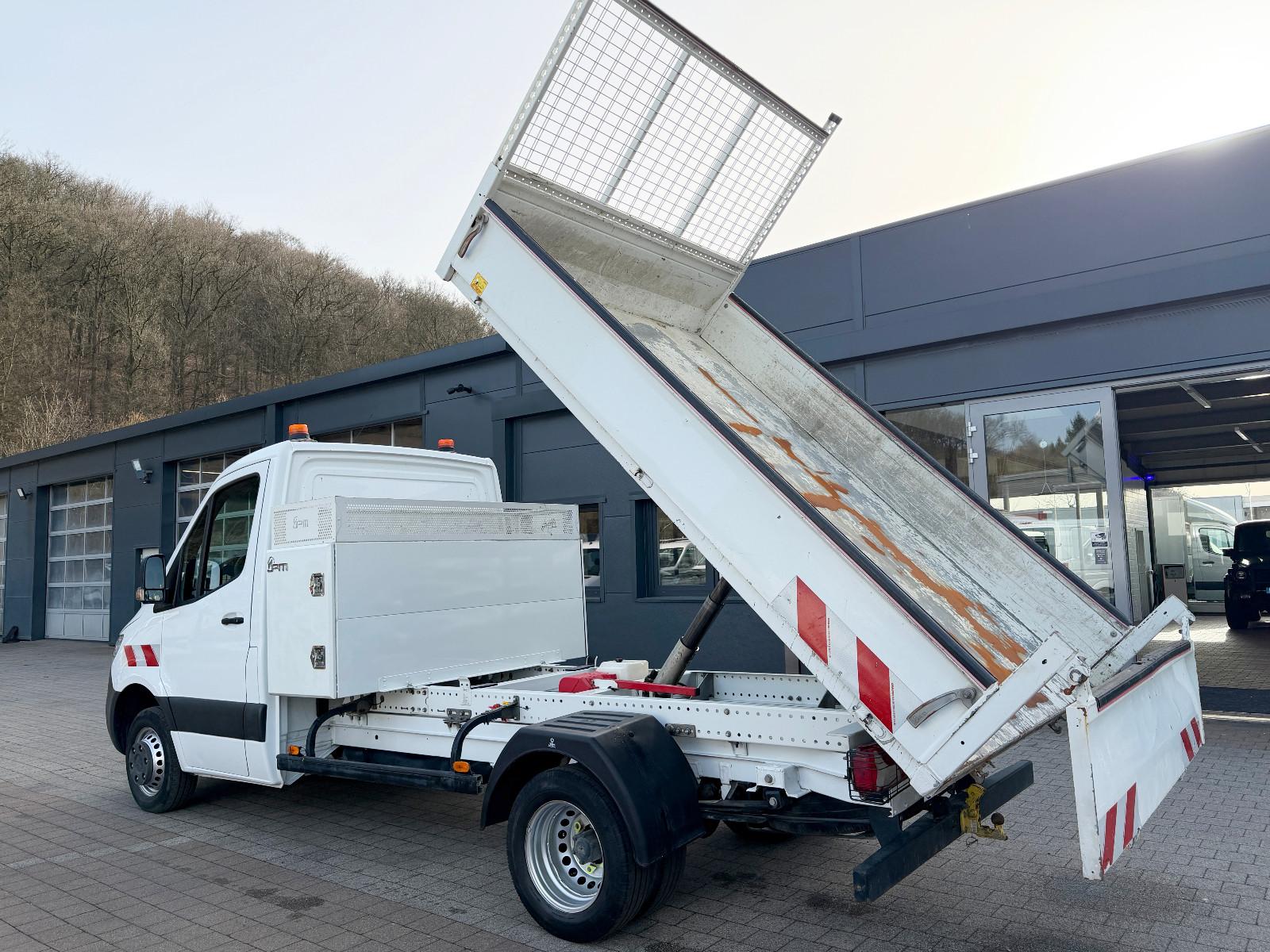 Mercedes-Benz Sprinter 315/515 CDI Kipper Zwillingsbereifung, миниатюра 29