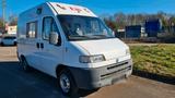 Fiat Ducato Verkaufswagen Eisbus - Fiat Ducato: Verkaufswagen