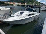 Andere SEA RAY 245DA HORIZON DREAM MIT ANHÄNGER PILOB