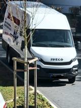 Andere Iveco Daily 50c15 Maxi aus 1. Hand 86.000 km - Andere mit Diesel-Antrieb: mit Klimaanlage