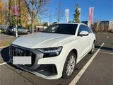 Audi Q8 50 TDI quattro tiptronic - TOP ZUSTAND