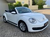 Volkswagen Beetle Cabriolet/PDC/KLIMA/SHZ/WINDSCHOTT/ALU/ - gebrauchte VW Beetle aus dem Jahr 2013