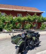 Mash Side Force Gespann Beiwagen - GESPANN VON 251 BIS 500 CCM