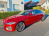 Jaguar XF P300 AWD HSE ACC HUD Garantie Allwetter - gebrauchte Jaguar XF aus dem Jahr 2022