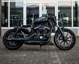 Harley-Davidson Iron 883 - Offers