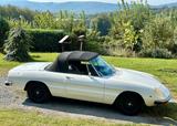 Alfa Romeo 1600 Spider - Alfa Romeo: 1600