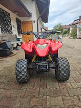 Adly - Quads bis 1.000 Euro