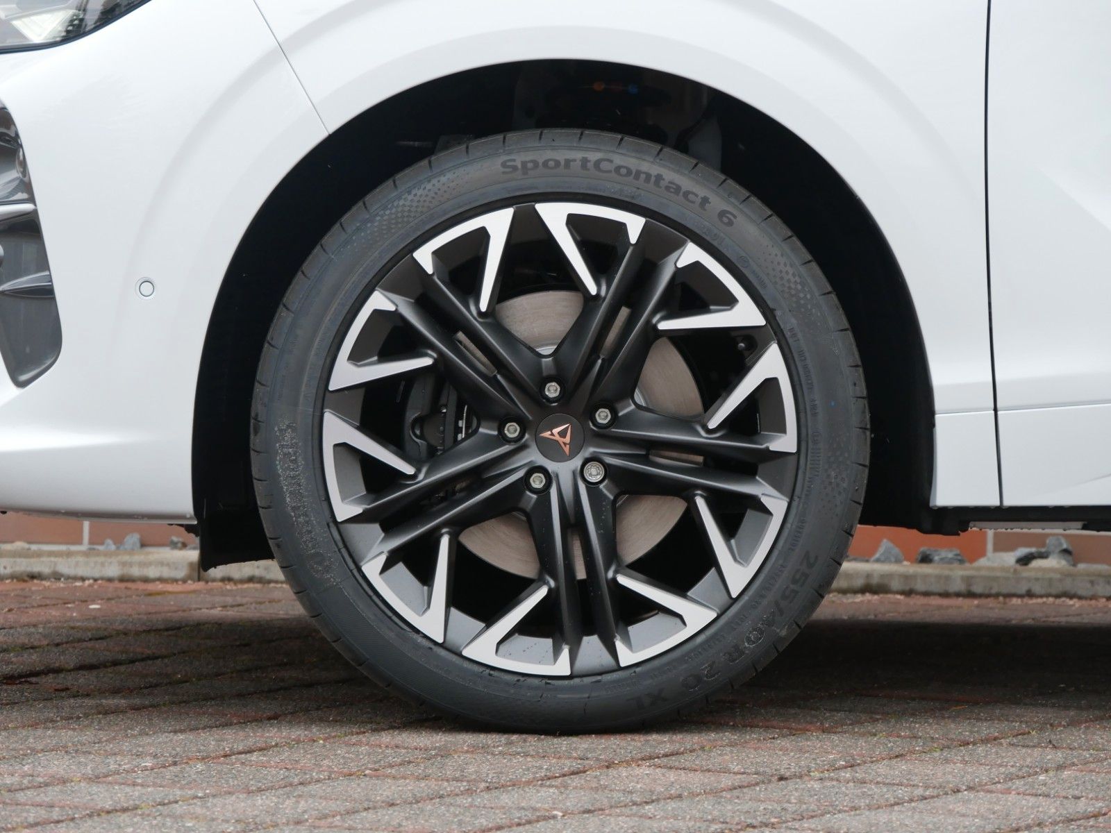 Cupra Terramar - Bild 11