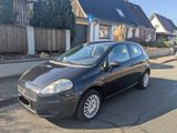 Fiat Punto - der perfekte Anfängerwagen - Fiat Punto: De