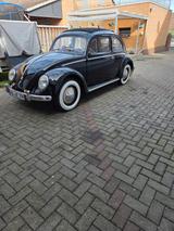 Volkswagen Käfer - Volkswagen Käfer: Schwarz
