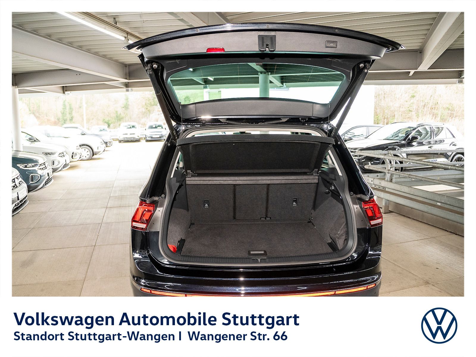 Volkswagen Tiguan - Bild 14