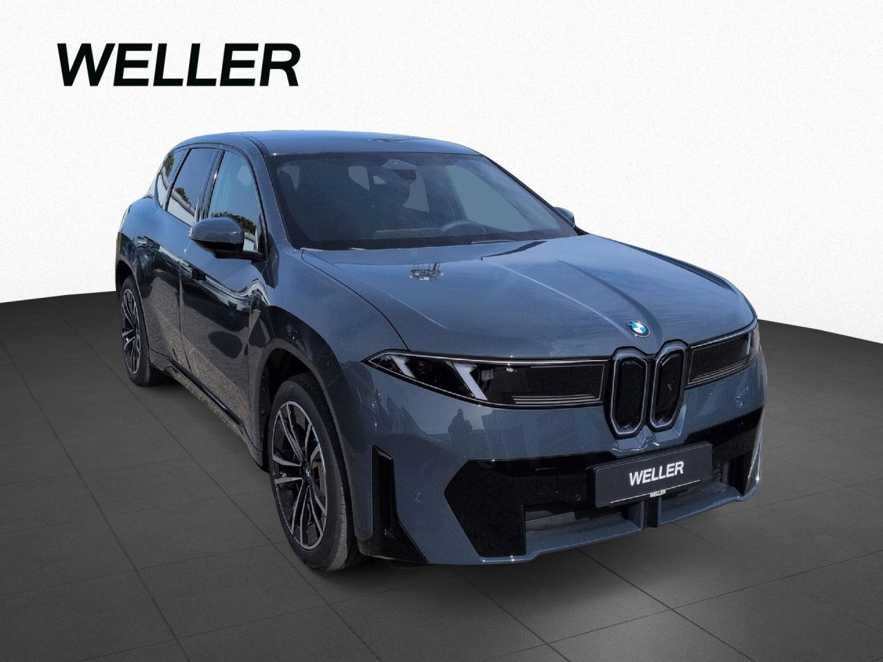 BMW iX3 40 M-Sport DA+ H/K AHK SOFORT imagem 3