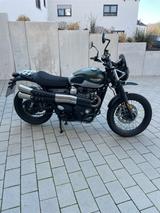 Triumph Street Scrambler 900 - Offers matching your search criteria