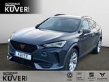 Cupra Formentor 1.5 TSI DSG ACC*NAVI*LED*PDC*e-Heck*TO - Cupra Formentor Gebrauchtwagen in Bremen