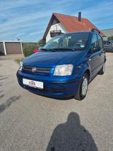 Fiat Panda 1.2 8V Dynamic - gebrauchte Fiat Panda aus dem Jahr 2009