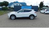 Cupra Formentor Cupra 1.5 TSI BMT Klima LED Alu Navi - gebrauchte Cupra Sportwagen